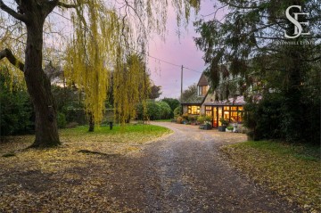 image of Daniel Wood, Cote